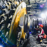 Coal