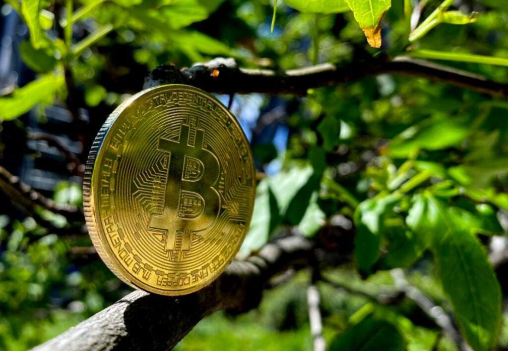 Is Bitcoin Really That Bad For The Environment.