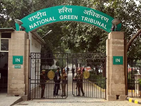 NGT NGT