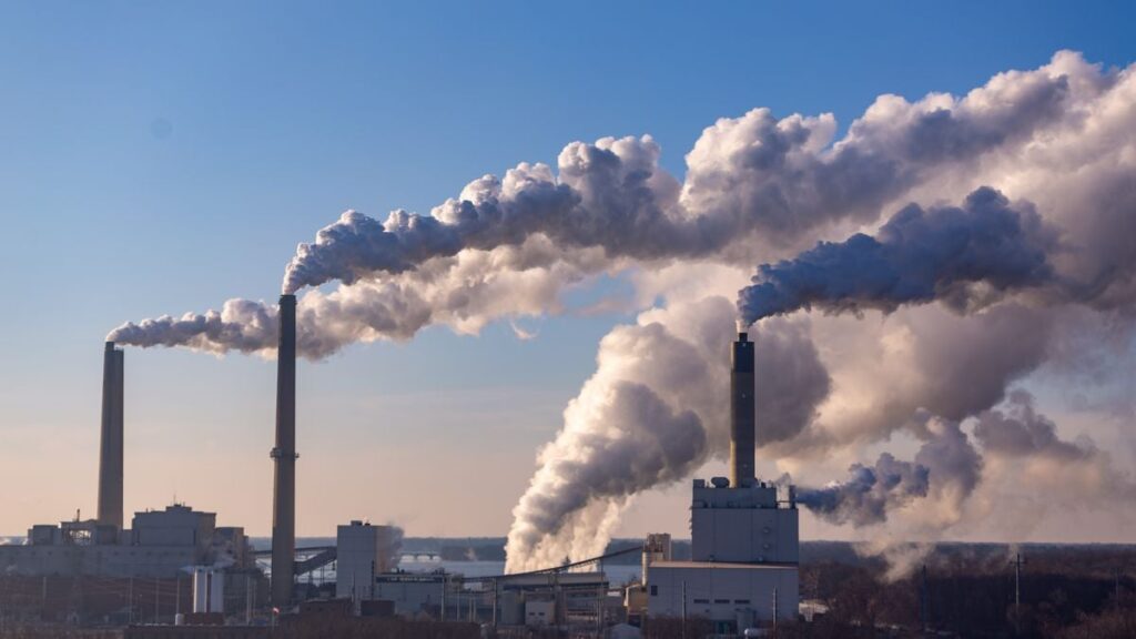 coal