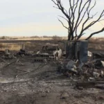 Wildfires