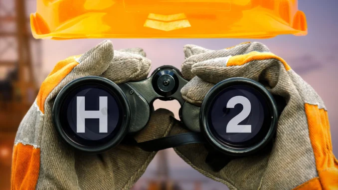 Oil