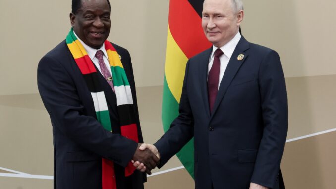 Russia making efforts to avert food crisis, Putin tells African nations