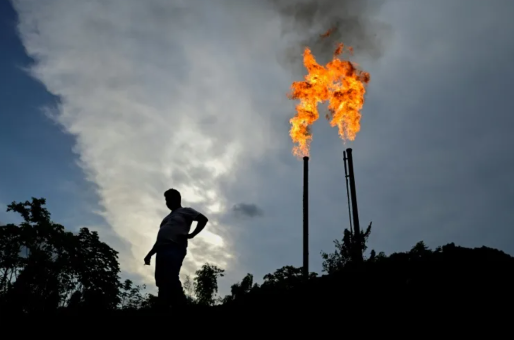 Oil