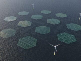 World’s largest floating solar