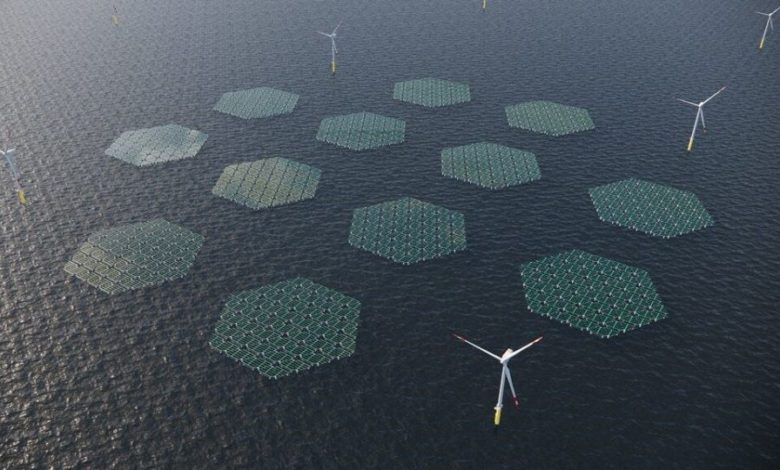 World’s largest floating solar