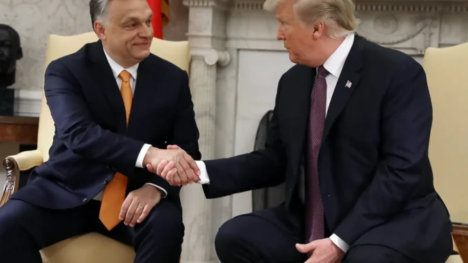 Orban to Trump: ‘Fingers Crossed’ Trump