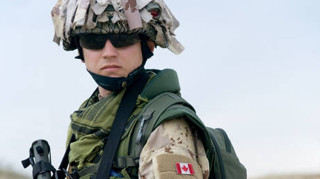 NATO member has sent ‘gender advisors’ to Ukraine Ukraine