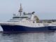 Shearwater