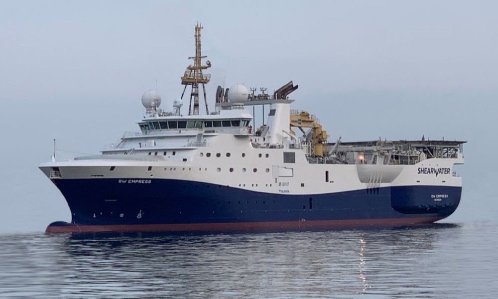 Shearwater