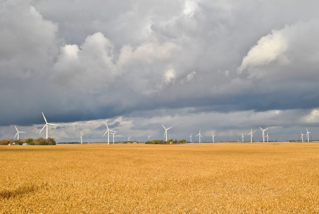 Rural Minnesota