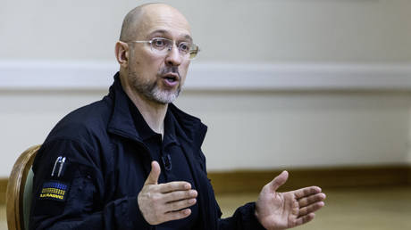 Ukrainian PM offers ‘critical minerals’ to EU EU