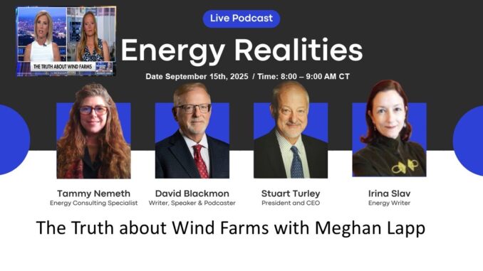 The Truth about Wind Farms - With Meghan Lapp