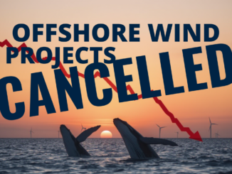 Offshore Wind is Canciled by DOW - Source: ENB