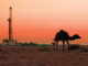 460 million of assets in the U.K. North Sea and buying projects in Egypt’s Western Desert from Royal Dutch Shell Plc.