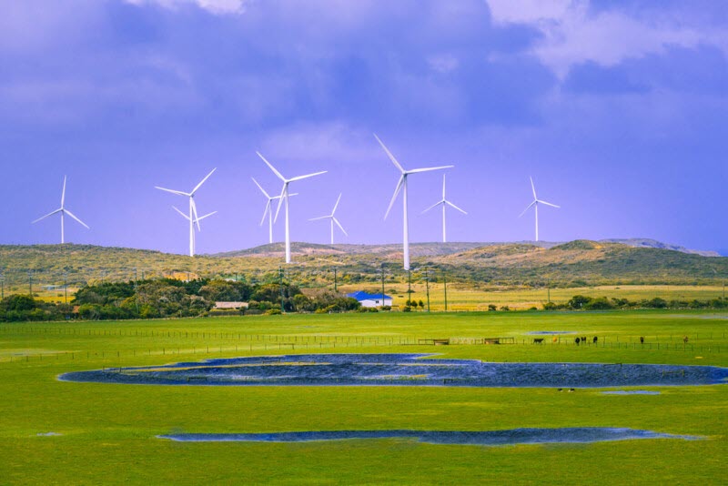 Austraila wind - energynewsbeat