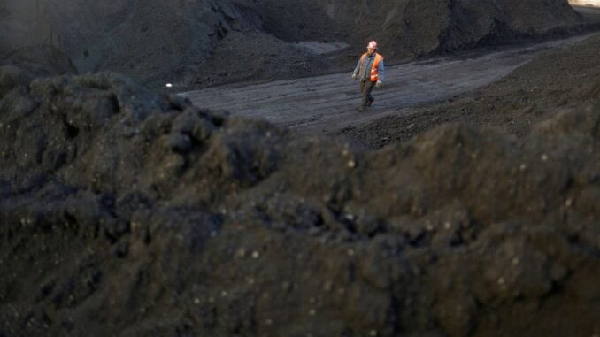 Coal