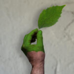 ESG: Environmental, Social, Greenwashing? -ENB