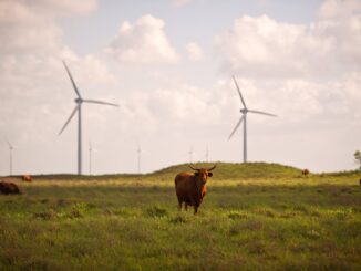 Texas Wind Power Is Failing Right When the State Needs It Most
