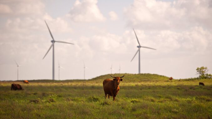 Texas Wind Power Is Failing Right When the State Needs It Most