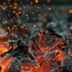 Coal