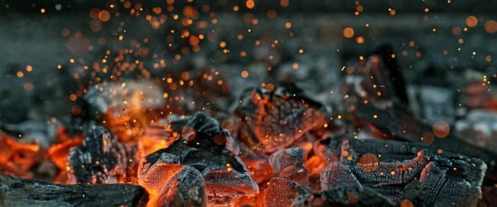 Coal