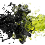 Biofuels may not be the answer
