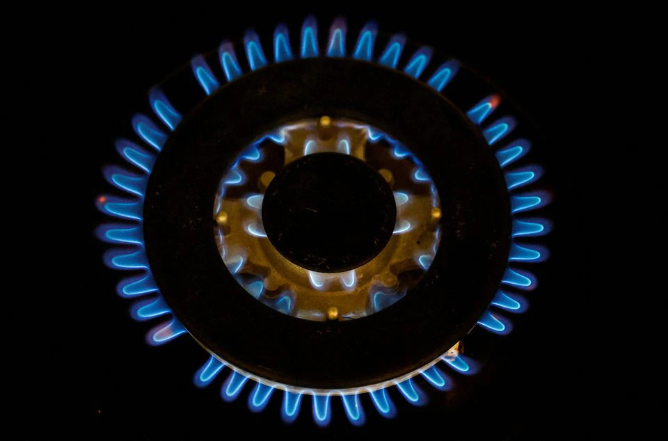 Germany's gas