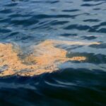 oil spill'