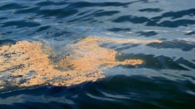 oil spill'