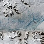 Antarctic
