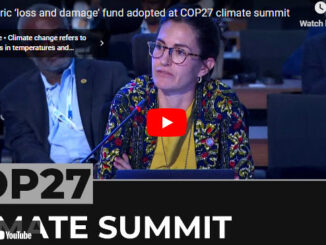 What Do you think about COP27?
