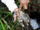 Peru indigenous groups block river in the Amazon after oil spill - ENB- Reuters