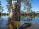 Picture of tree at centre of furious flood debate
