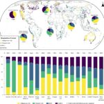 54% of projects extracting clean energy minerals overlap with Indigenous lands, research reveals