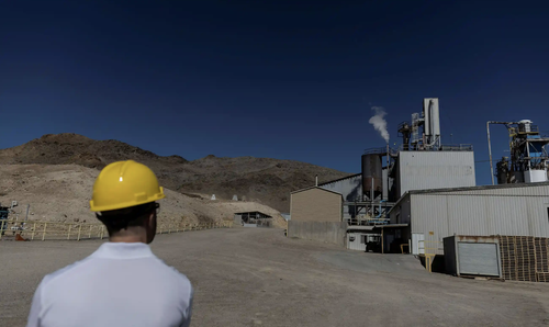 Green Vs Green: Endangered Flower May Wipe Out Nevada Lithium Mine