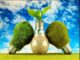 Decarbonisation