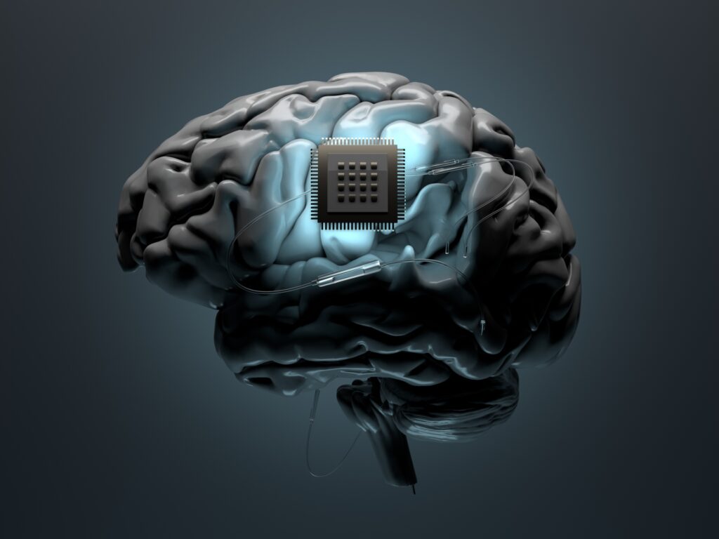 brain