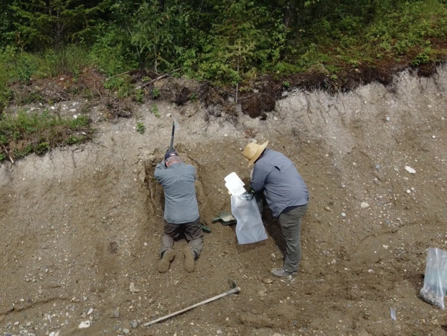 geochemical
