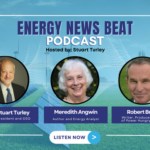ENB #116 Exclusive interview with Robert Bryce, Energy Expert, Public Speaker, and Merideth Angwin, Author of "Shorting the Grid."