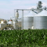 biofuel