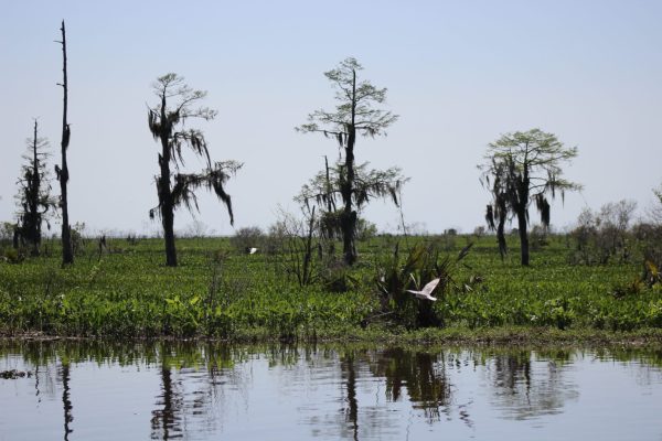 Louisiana