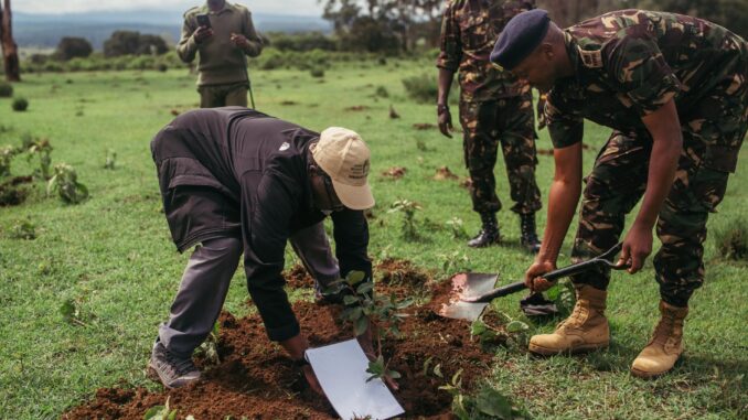 Drought and conflict are hurting Kenyan forests. Can the army fix things?