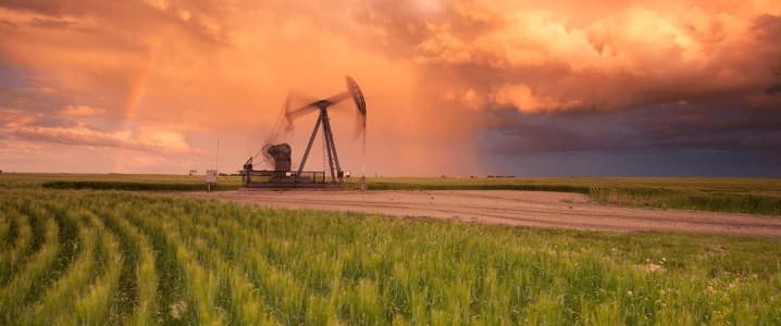 Oil