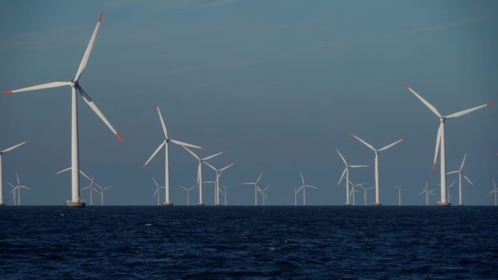 A view of the turbines at an offshore wind farm near Nysted Denmark September 4 2023. REUTERS -Tom Little