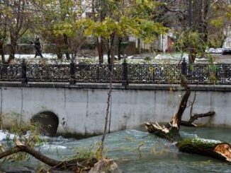 Crimea declares ‘state of emergency’