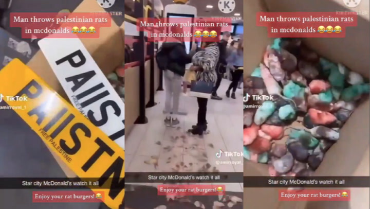 Pro-Palestinian Activists