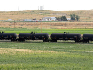 oil and gas auctions