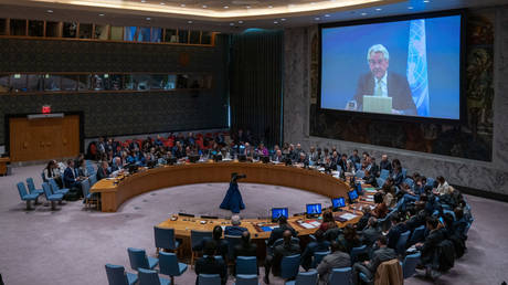 Andrey Sushentsov: Will the UN survive and what could replace it?