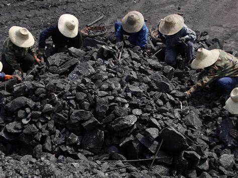 Coal Coal